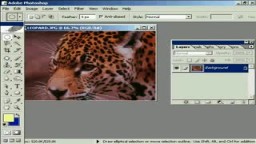  -تحويل الألوان الباهتة إلى الوان زاهية في الفوتوشوب-‎