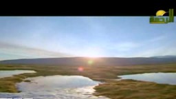 الشيخ سيد النقشبندي - خفق القلب