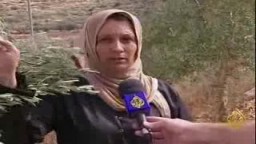 مستوطنون صهاينة  يعتدون على أشجار الزيتون
