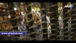 د/ احمد عارف : لا مجال للحديث عن مفاوضات