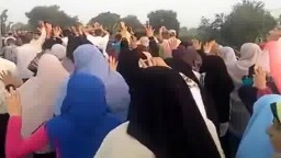 مسيرة أحرار دسوق على الطريق - قلين ضد العسكر