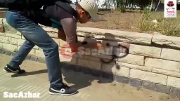 طلاب الأزهر  مش هنعيش عبيد في بلادنا