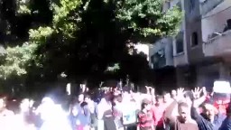 مسيرة حاشدة بالاسكندرية .. الجمعة 21 / 11 / 2014