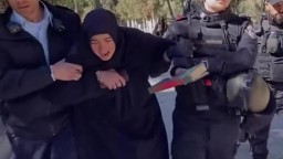 الاحتلال يعتقل شابة تركية  تحمل مصحف في باحات المسجد الاقصى